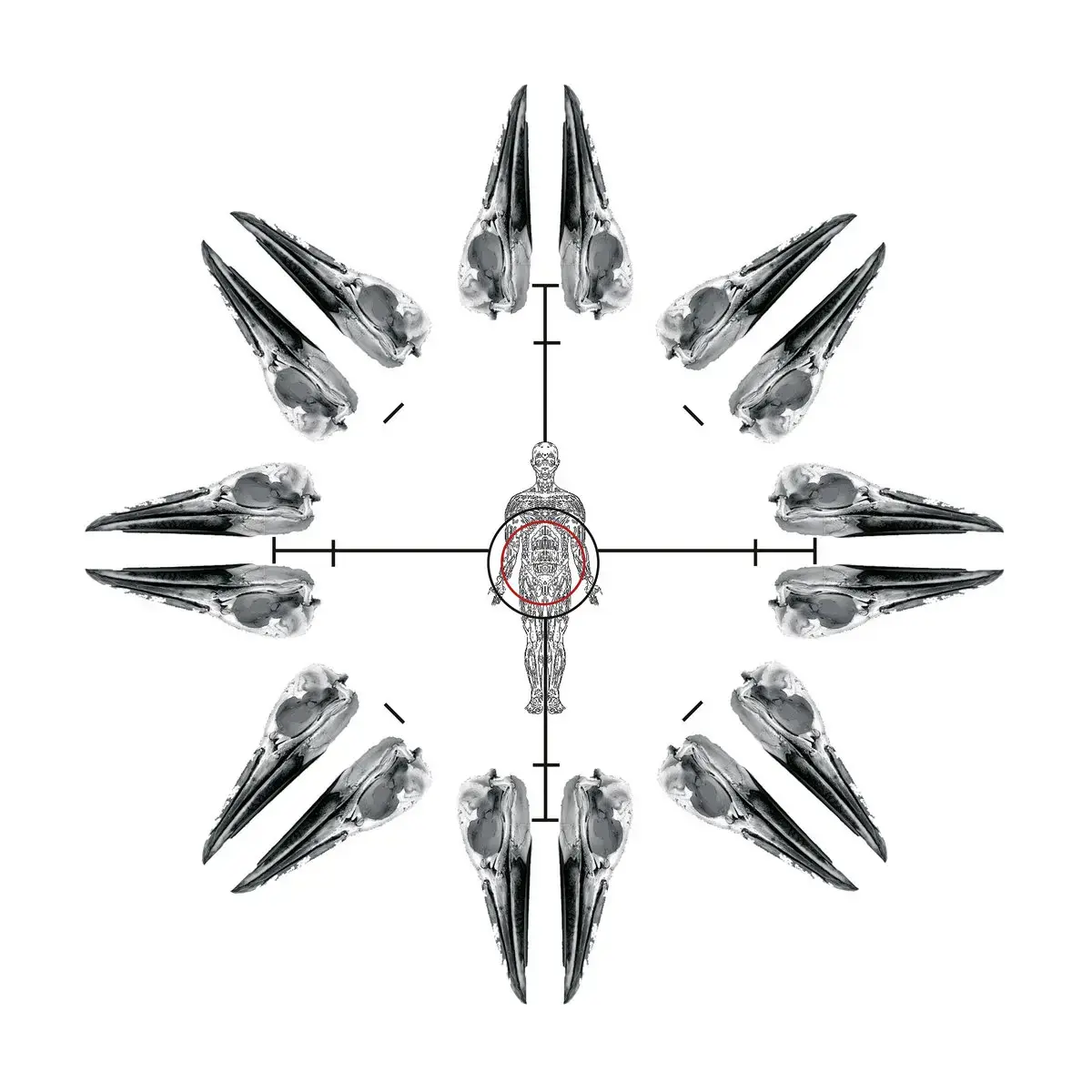 MÖRK GRYNING - Pieces Of Primal Expressionism · BLACK LP · Bild 1 MÖRK GRYNING - Pieces Of Primal Expressionism · BLACK LP (Black Metal Vinyl) · Bild 1