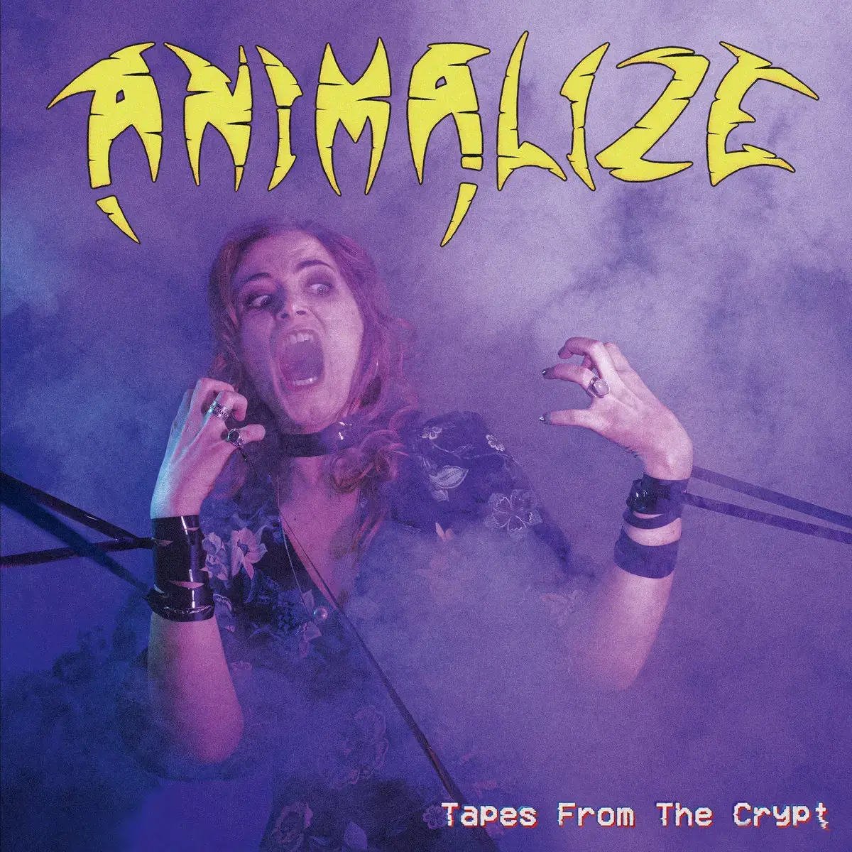ANIMALIZE - Tapes From The Crypt · BLACK LP · Bild 1 ANIMALIZE - Tapes From The Crypt · BLACK LP (Heavy Metal Vinyl) · Bild 1