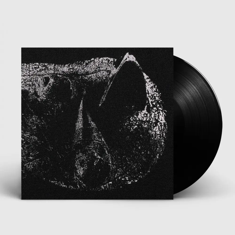 DEMON HEAD · Viscera | BLACK LP DEMON HEAD · Viscera | BLACK LP (Hard Rock Vinyl)
