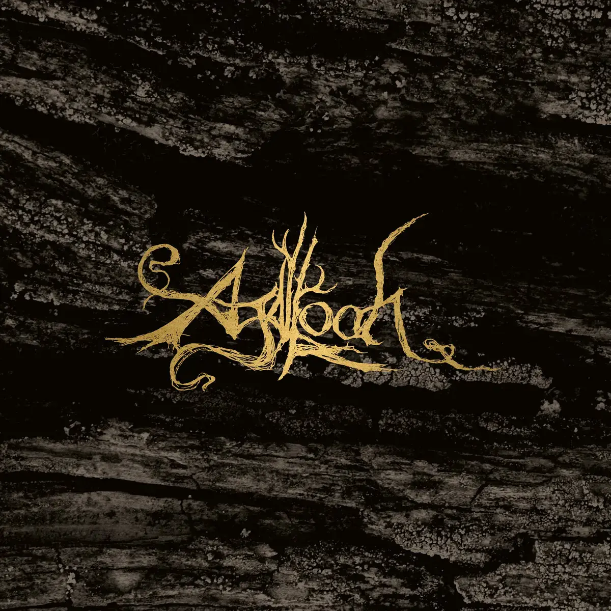 AGALLOCH - Pale Folklore · SMOKE 2LP (Dark Metal/Black Metal Vinyl) · Bild 1