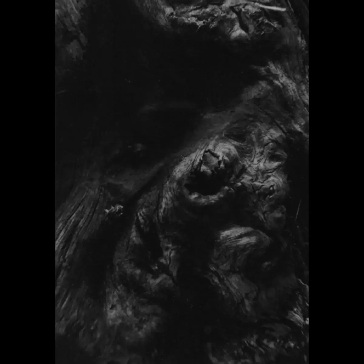 PAYSAGE D'HIVER - Steineich · A5 DIGIBOOK CD (Black Metal/Ambient CDs)