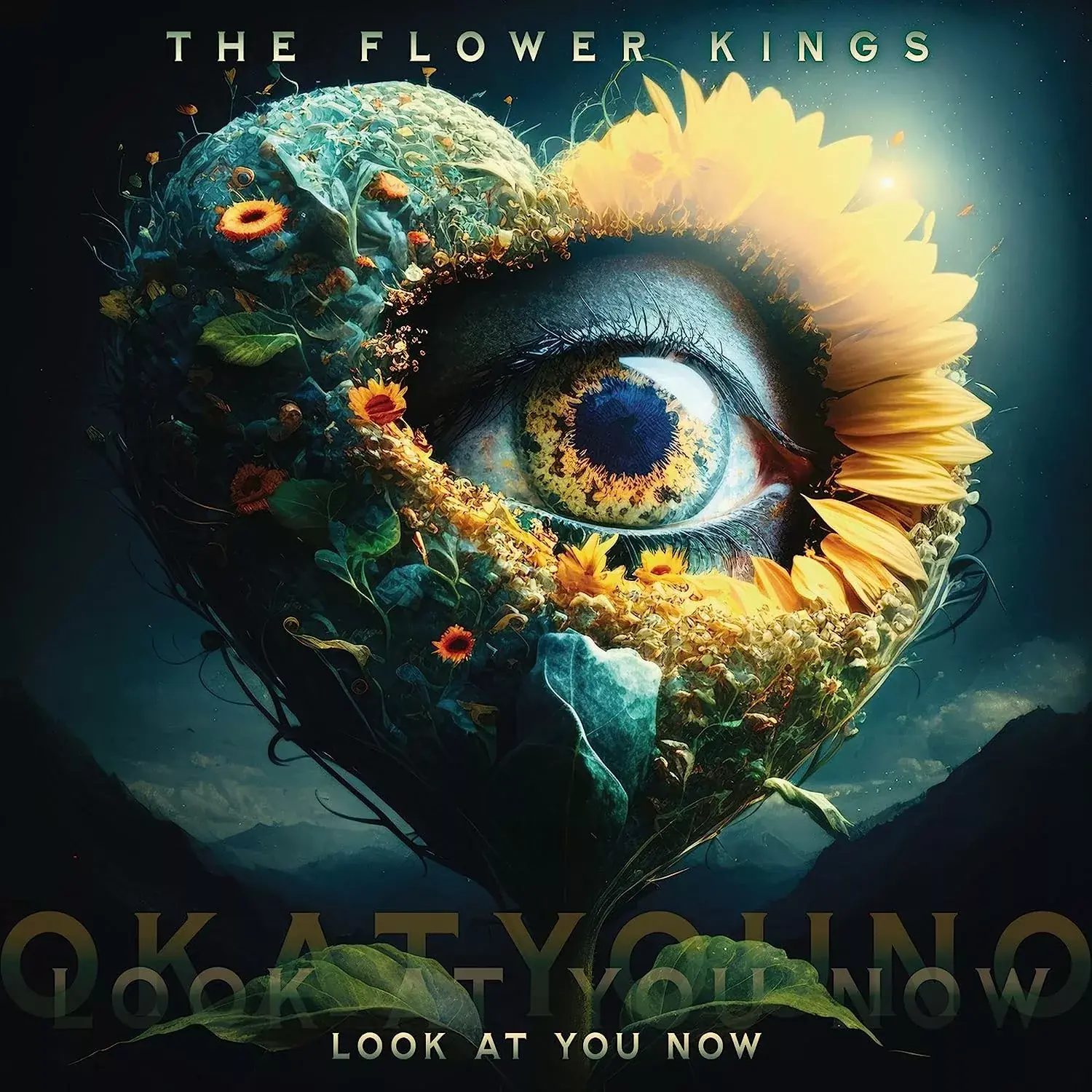 THE FLOWER KINGS - Look At You Now · BLACK 2LP · Bild 1 THE FLOWER KINGS - Look At You Now · BLACK 2LP (Progressive Rock Vinyl) · Bild 1