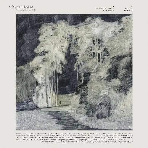 CONSTELLATIA - The Language Of Limbs · BLACK LP (Progressive Rock Vinyl) · Bild 1