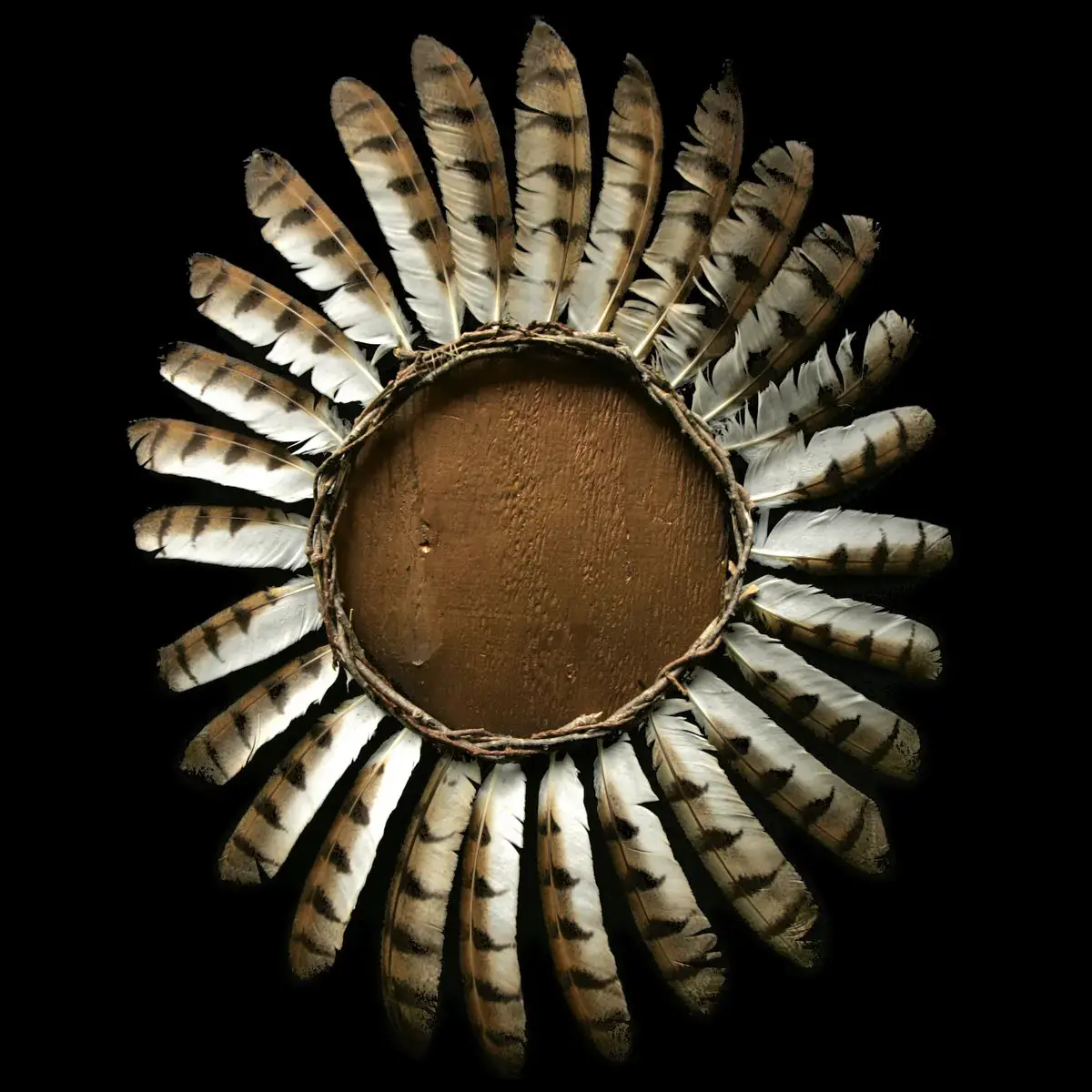 FAUNA - Avifauna · BLACK 2LP (Black Metal Vinyl) · Bild 1