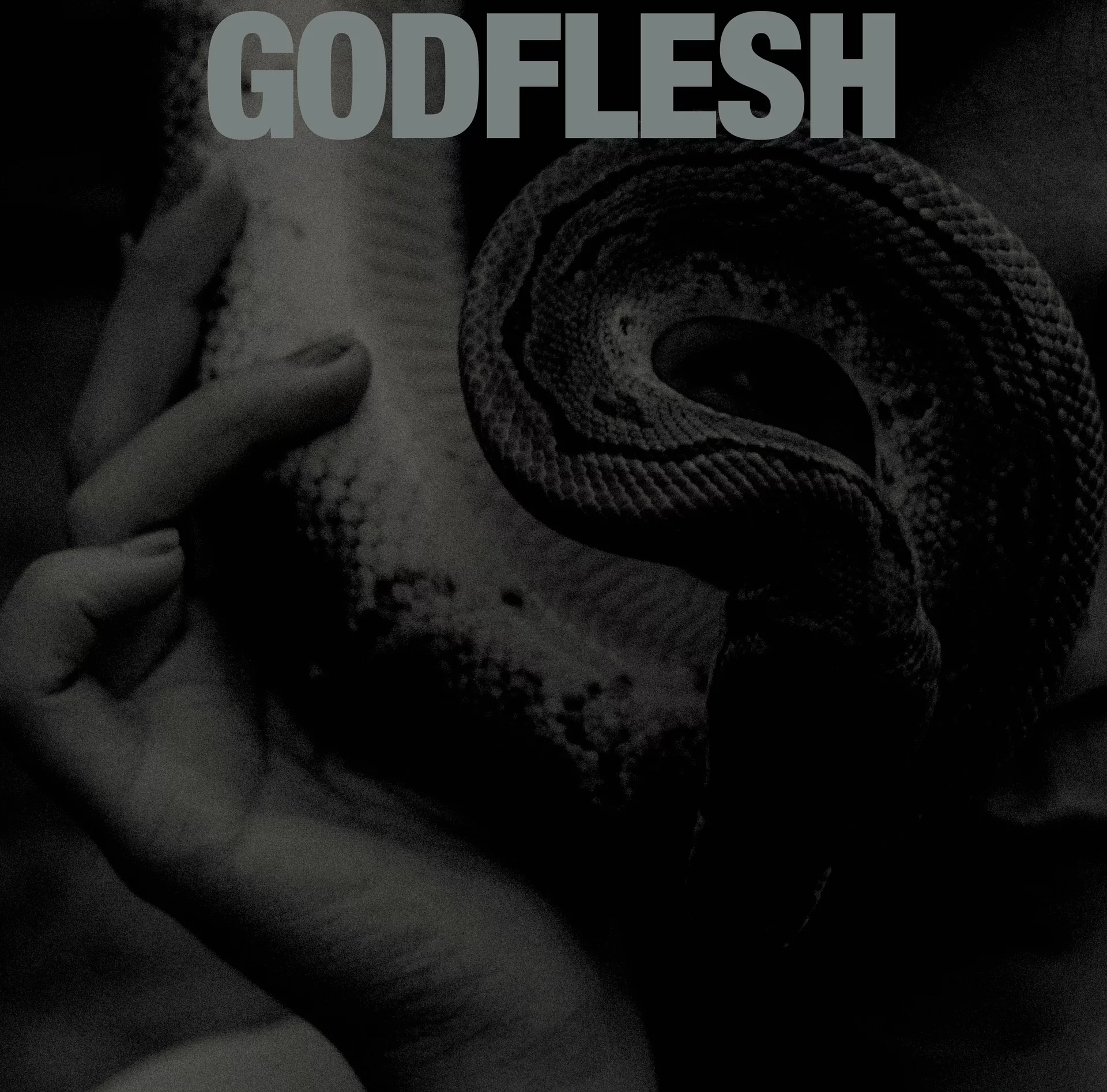 GODFLESH · Purge | SILVER LP · Bild 1 GODFLESH · Purge | SILVER LP (Sludge Vinyl) · Bild 1