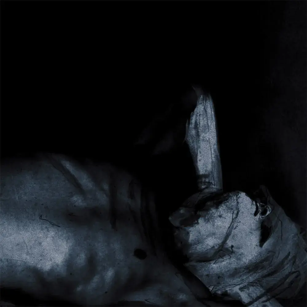 FLUISTERAARS - Dromers · BLACK LP 1