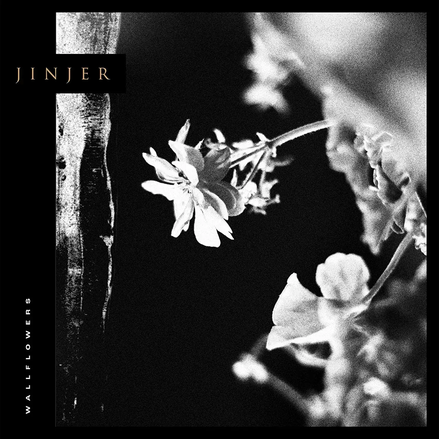 JINJER - Wallflowers · BLACK LP · Bild 1 JINJER - Wallflowers · BLACK LP (Progressive Metal Vinyl) · Bild 1