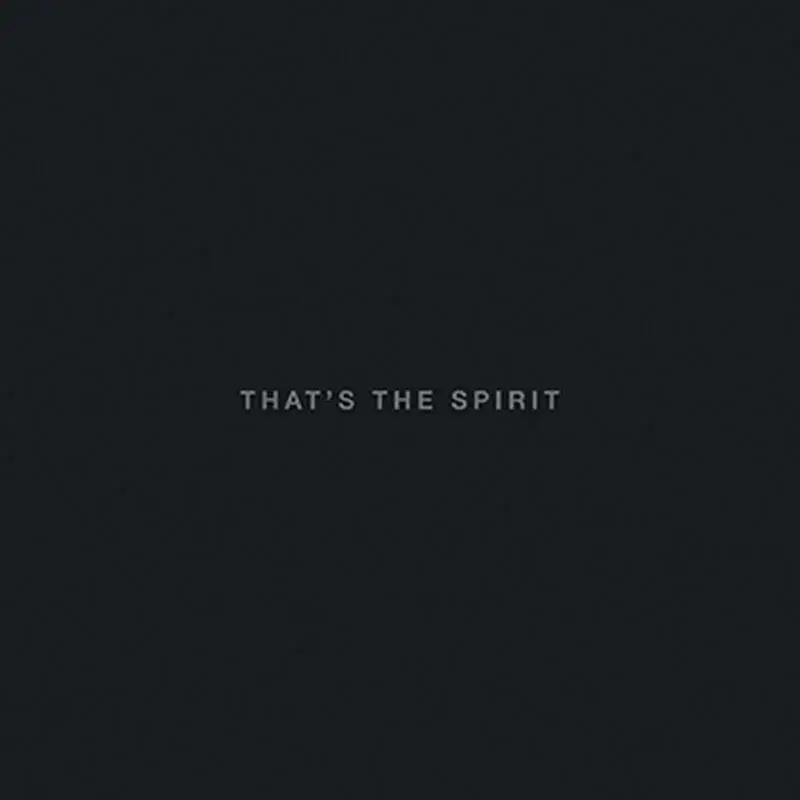 BRING ME THE HORIZON · That's The Spirit | BLACK LP+CD (Metalcore Vinyl) · Bild 1