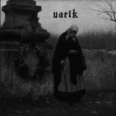 VAELK / ILLUNIS - Alongside Desolation/Gloom Of Yesternight · BLACK 7" EP 1