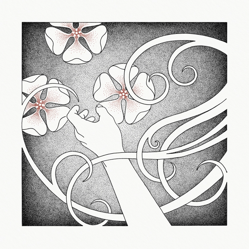 WHISPERING VOID · At The Sound Of The Heart | CRYSTAL CLEAR LP (Nordic Folk Vinyl) · Bild 1