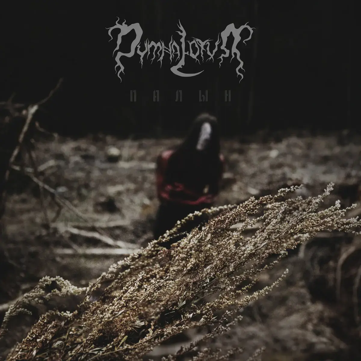 DYMNA LOTVA - Wormwood (Палын) · OXBLOOD RED LP · Bild 1 DYMNA LOTVA - Wormwood (Палын) · OXBLOOD RED LP (Nordic Black Metal Vinyl) · Bild 1
