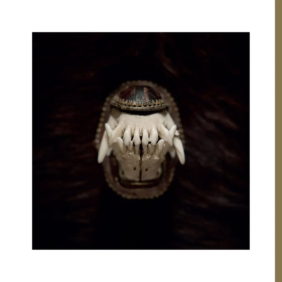 AMENRA · De Toorn | CD (Doom Metal/Post Metal/Sludge/Hardcore CDs)