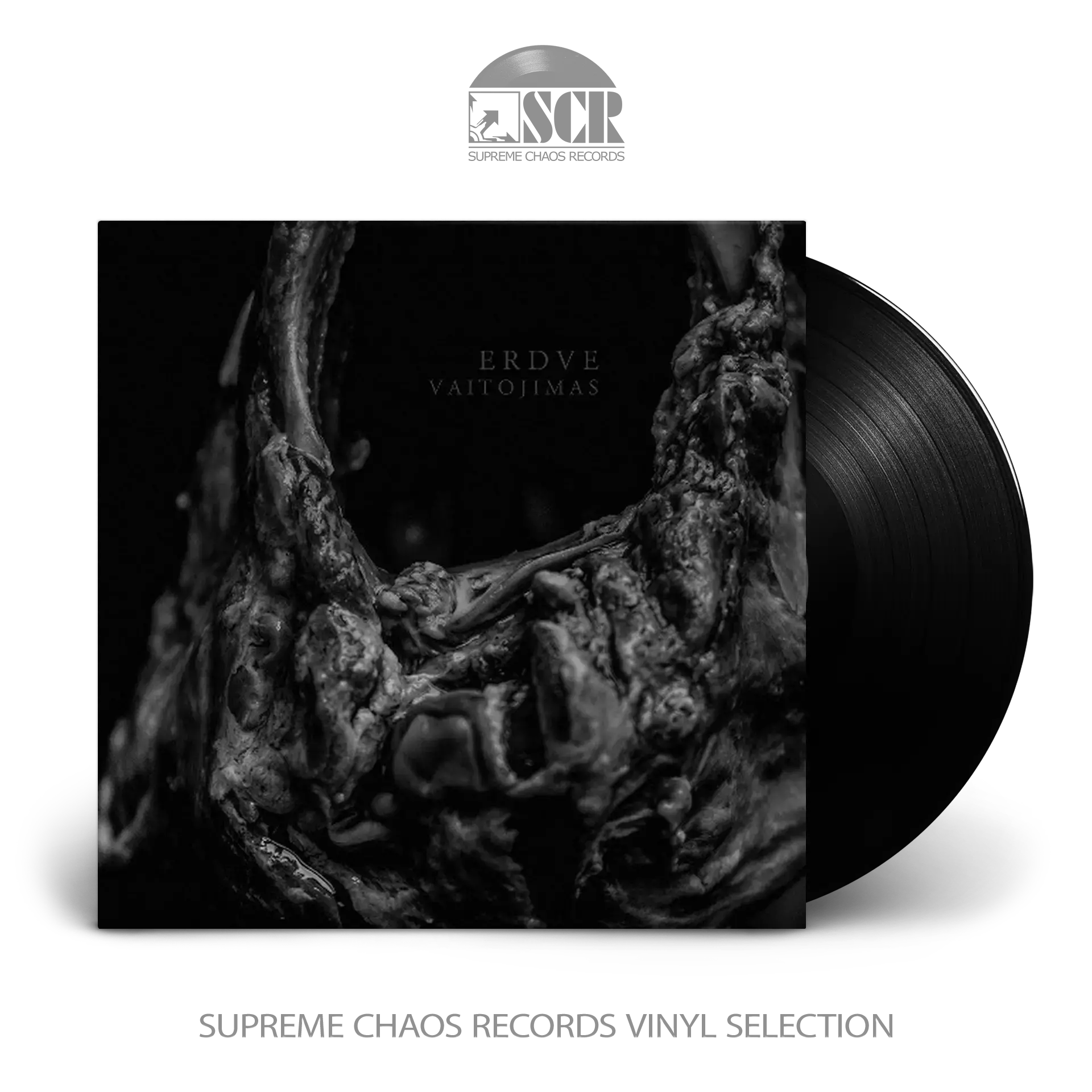 ERDVE · Vaitojimas | BLACK LP (Progressive Metal Vinyl)