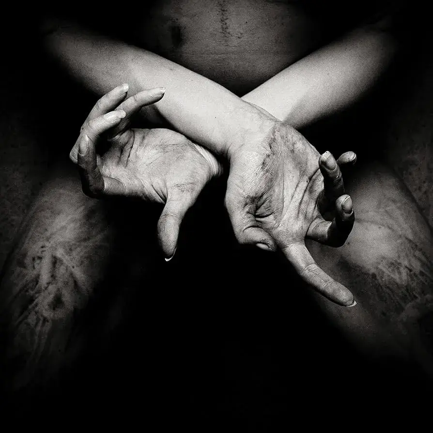 SHINING - X: Varg Utan Flock · DIGIPAK CD SHINING - X: Varg Utan Flock · DIGIPAK CD (Black Metal CDs)