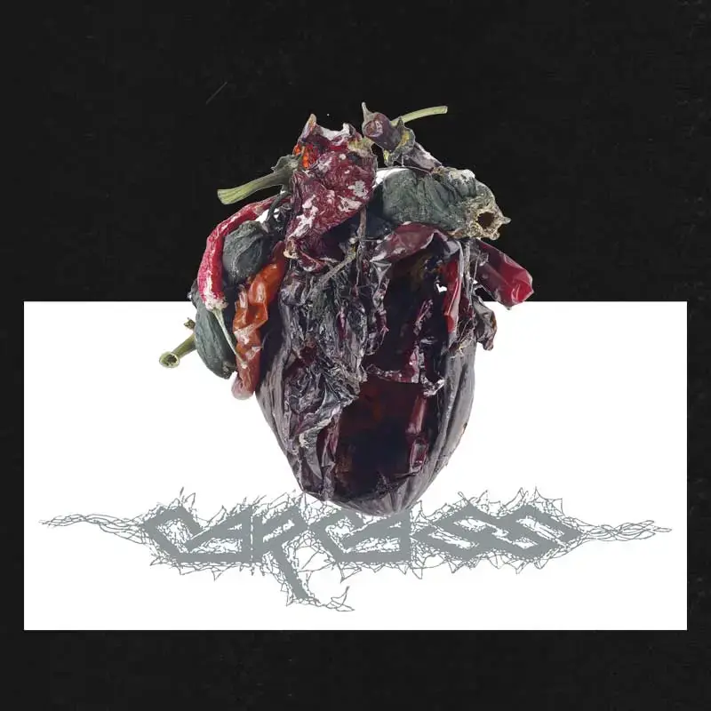 CARCASS - Torn Arteries (Deluxe Pop-Up) · RED LP 1