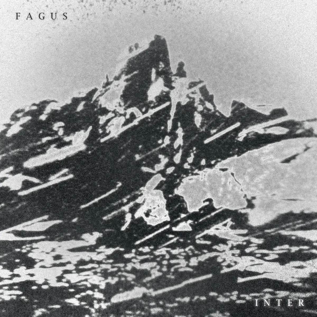 FAGUS · Inter | BLACK LP (Black Metal Vinyl) · Bild 1