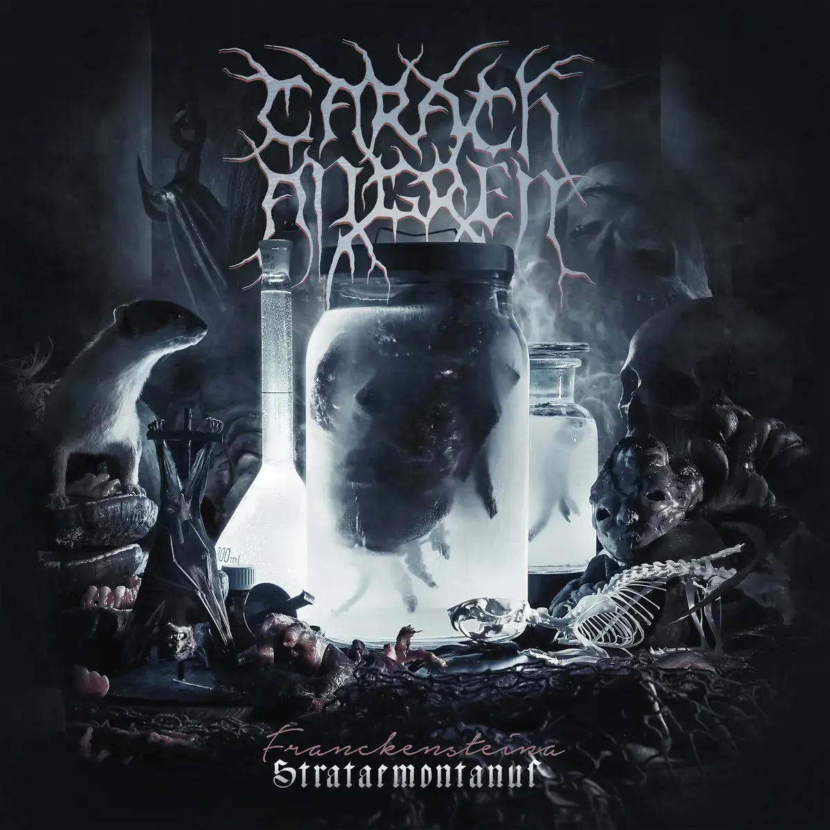 CARACH ANGREN - Franckensteina Strataemontanus · GOLD 2LP (Black Metal Vinyl) · Bild 1