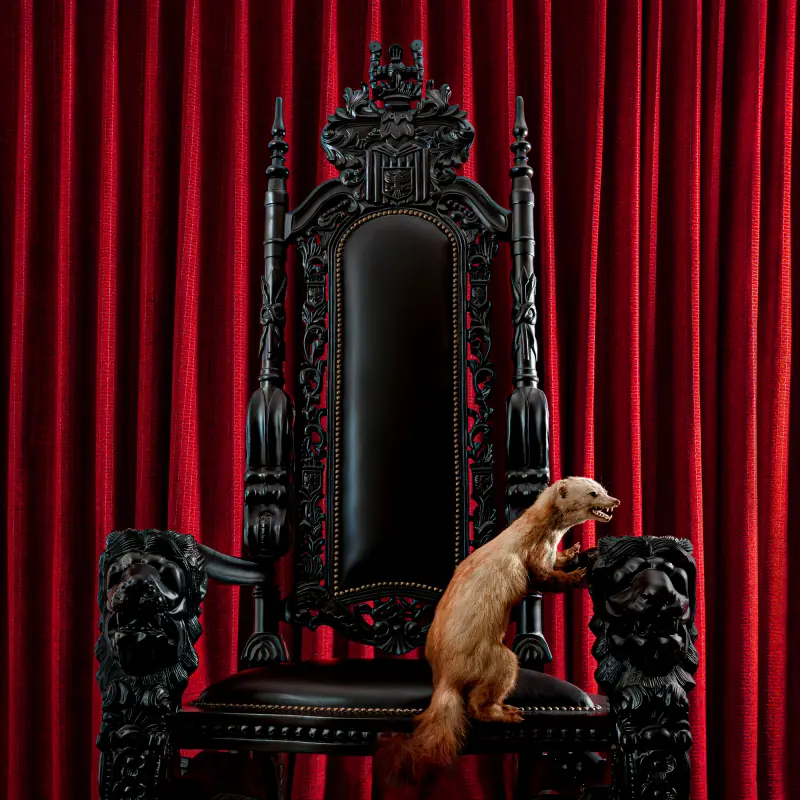 BRUME · Marten | TRANSPARENT RED LP · Bild 1 BRUME · Marten | TRANSPARENT RED LP (Heavy Rock Vinyl) · Bild 1