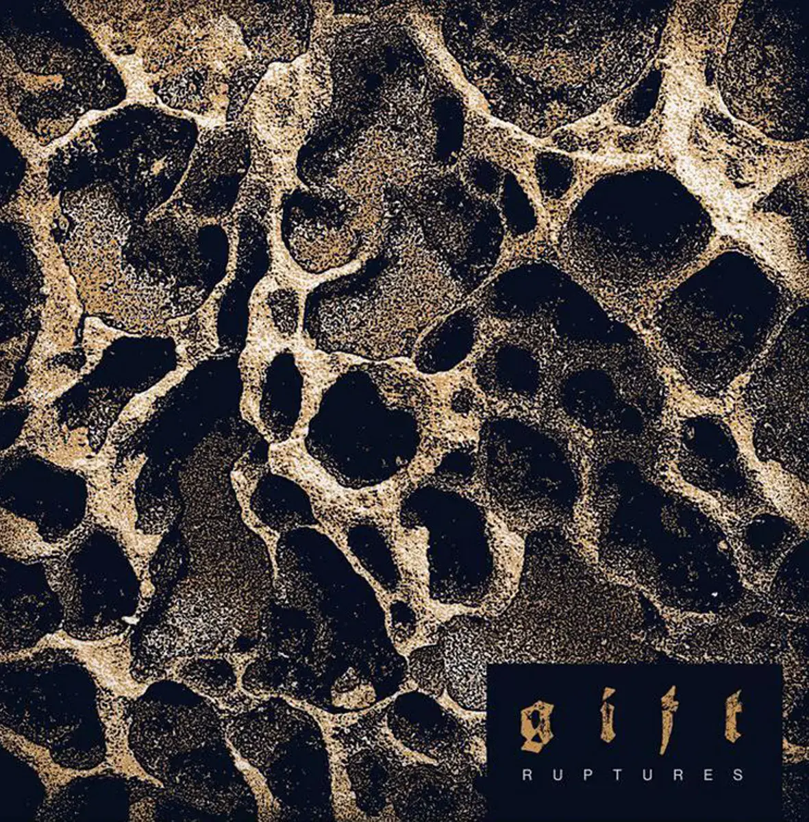 GIFT - Ruptures · BLACK LP (Hardcore Punk Vinyl) · Bild 1