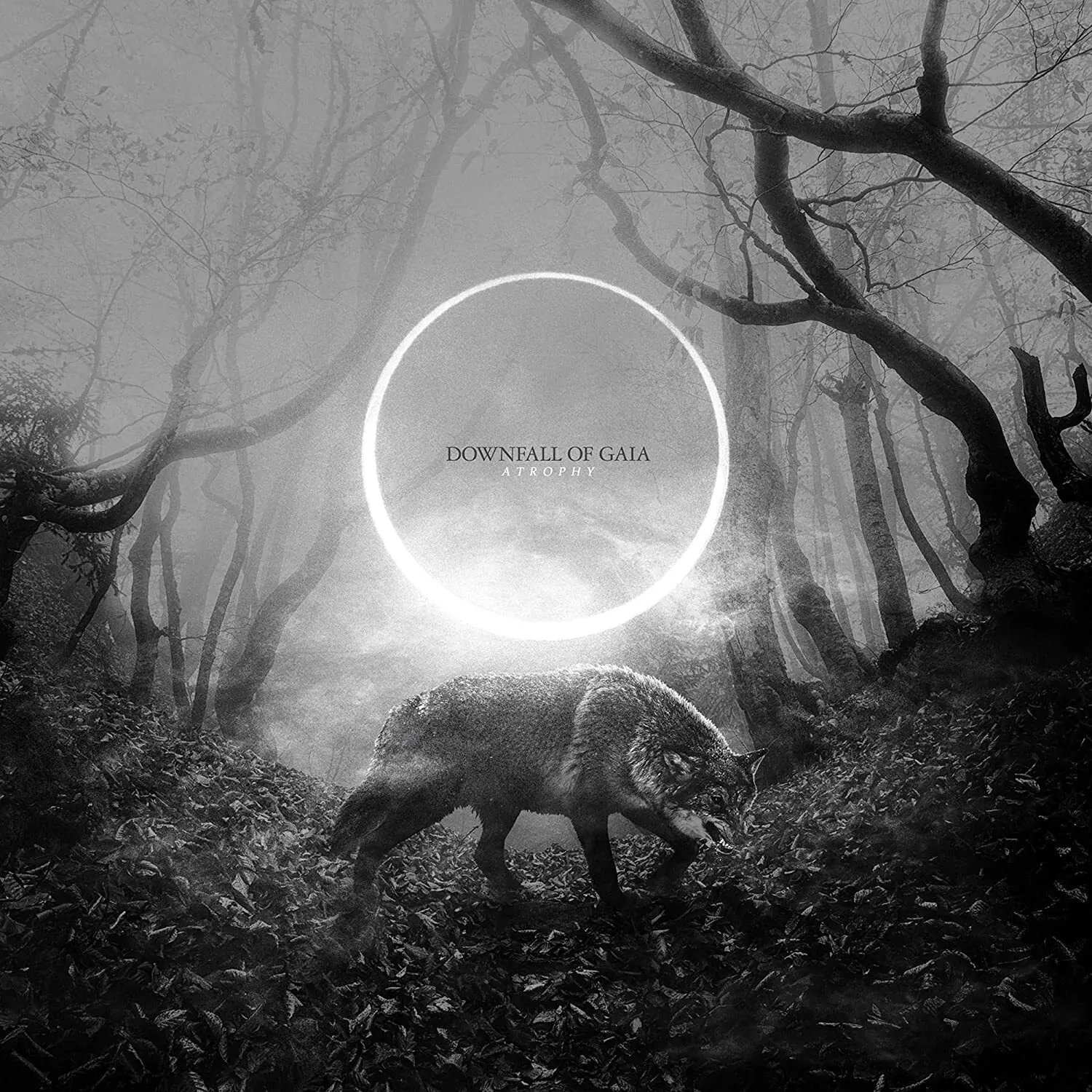 DOWNFALL OF GAIA · Atrophy | DIGI (Post Metal CDs)