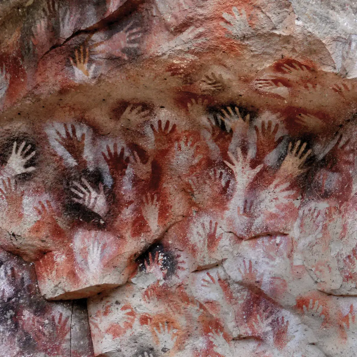 FAUNA · Ochre & Ash | OXBLOOD 2LP · Bild 1 FAUNA · Ochre & Ash | OXBLOOD 2LP (Black Metal Vinyl) · Bild 1