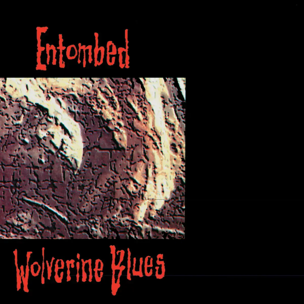 ENTOMBED - Wolverine Blues (FDR) · DIGIPAK CD (Death Metal CDs)