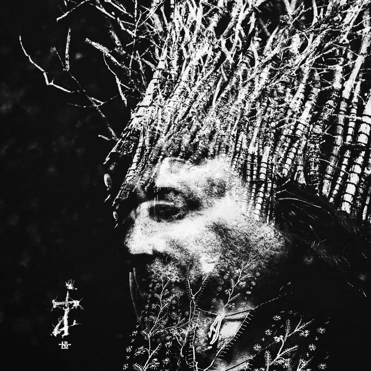 NEGURA BUNGET - Zi · BLACK LP 1