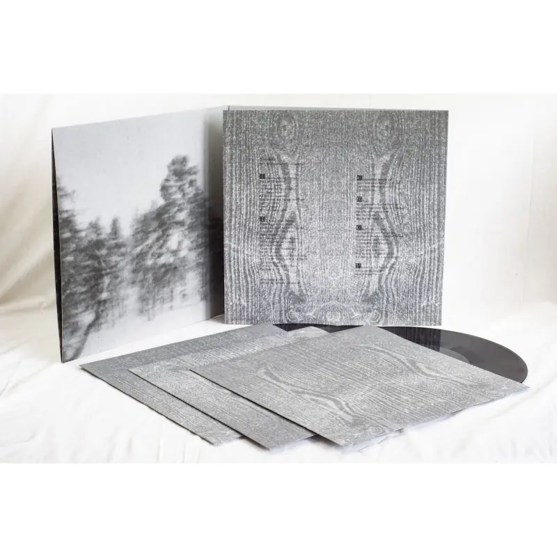 PAYSAGE D'HIVER - Winterkälte · BLACK 3LP