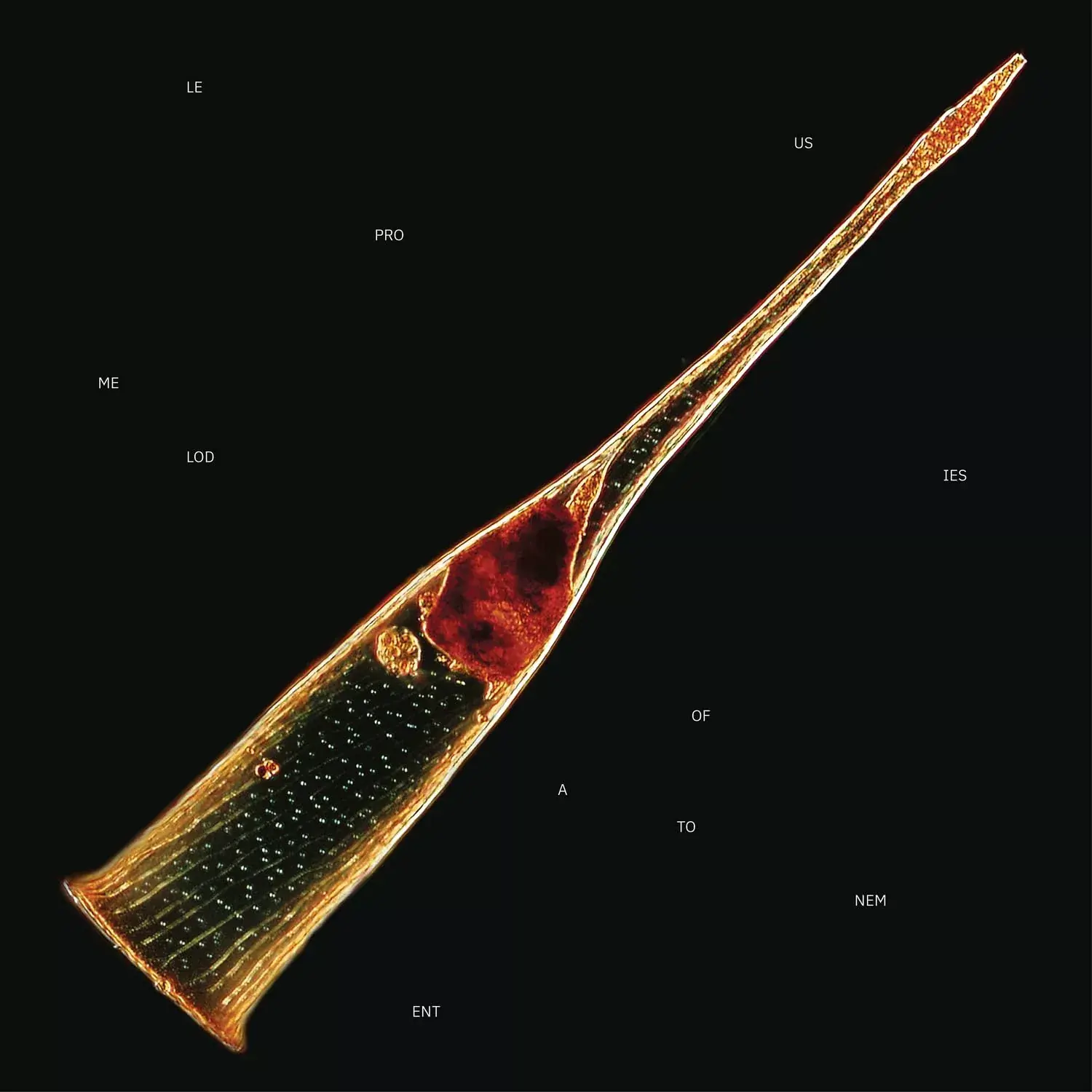 LEPROUS · Melodies Of Atonement | TRANSPARENT RED DLP (Progressive Rock Vinyl) · Bild 1