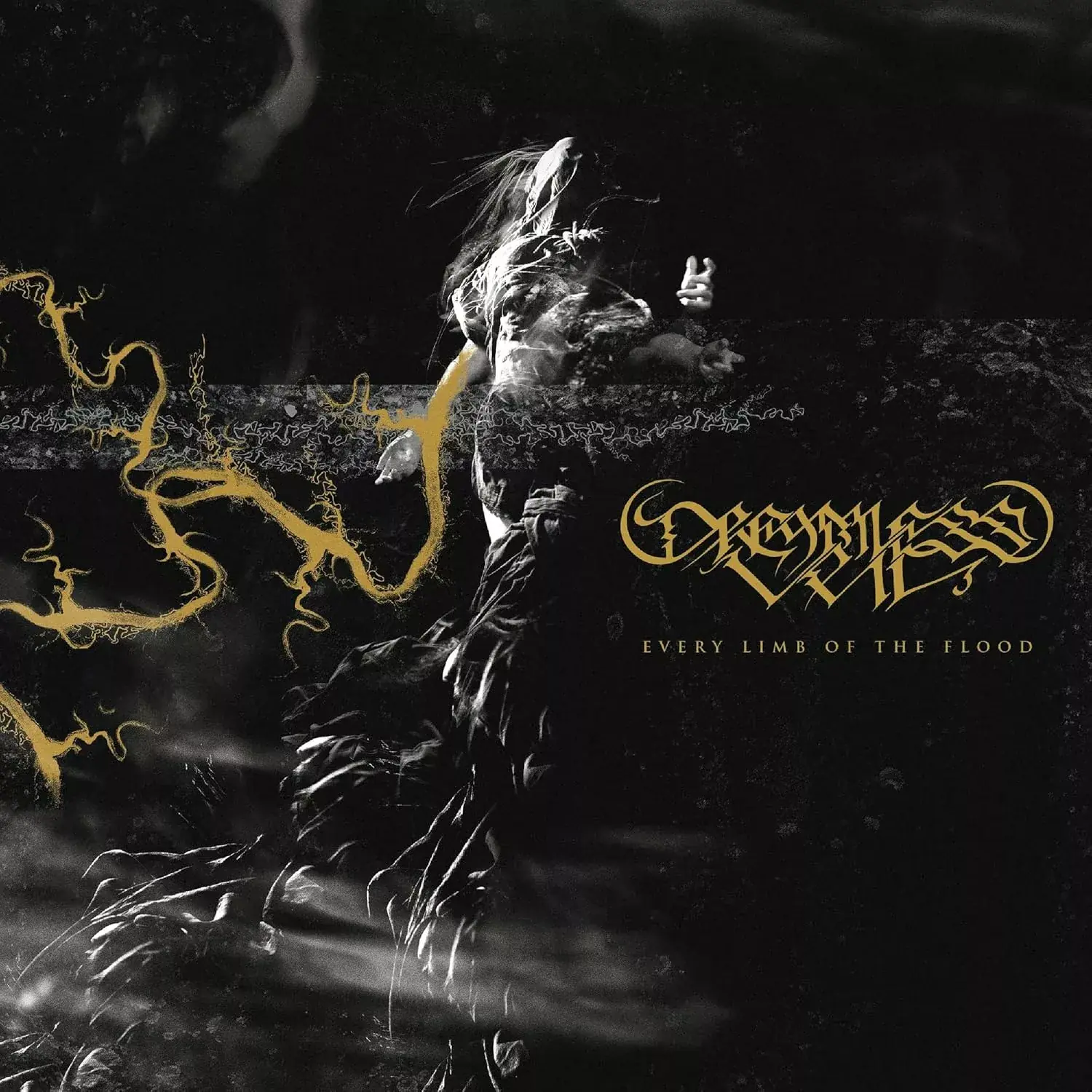 DREAMLESS VEIL - Every Limb of the Flood · CD DREAMLESS VEIL - Every Limb of the Flood · CD (Death Metal CDs)