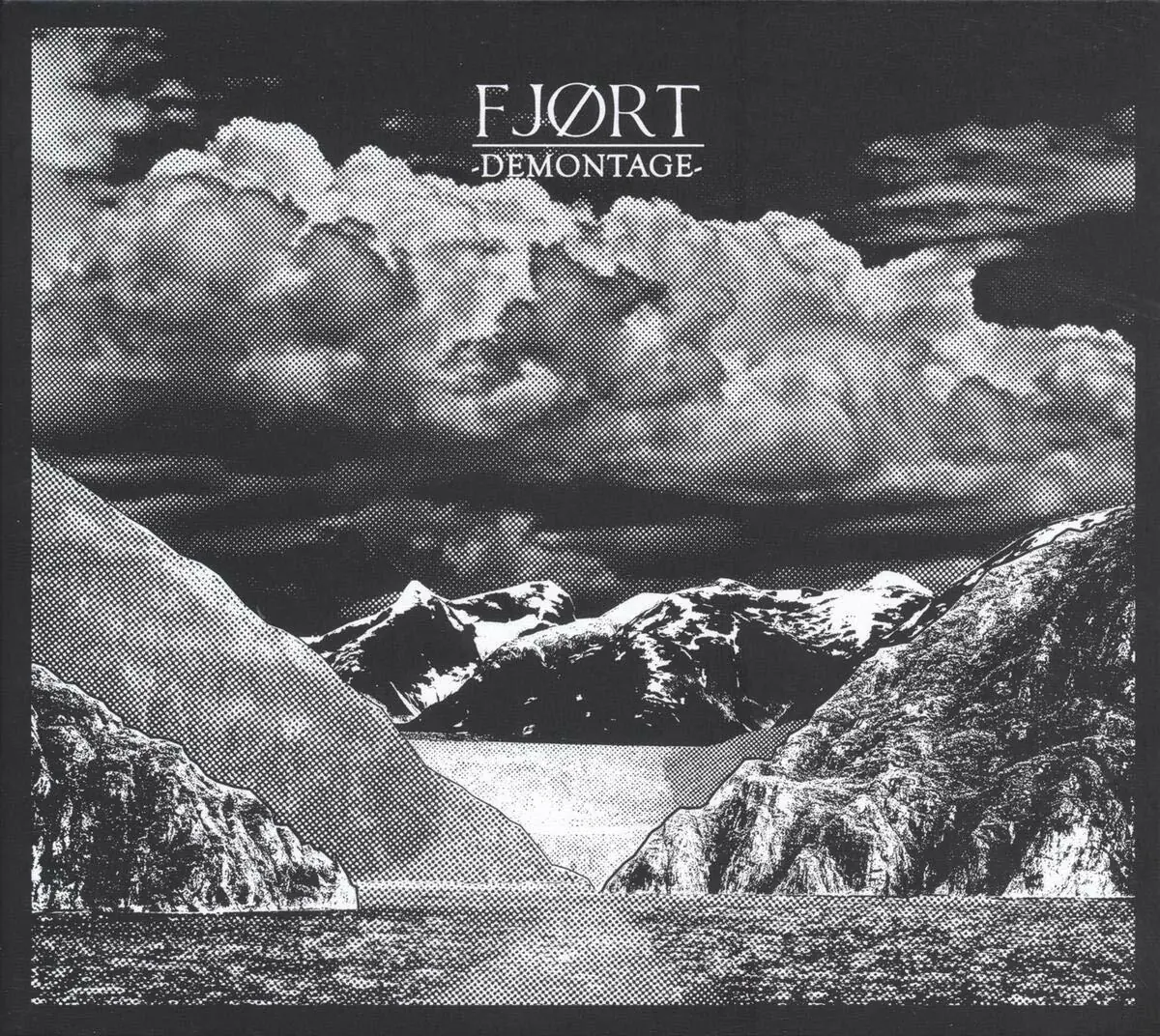 FJORT - Demontage · BLACK LP (Post Rock Vinyl) · Bild 1