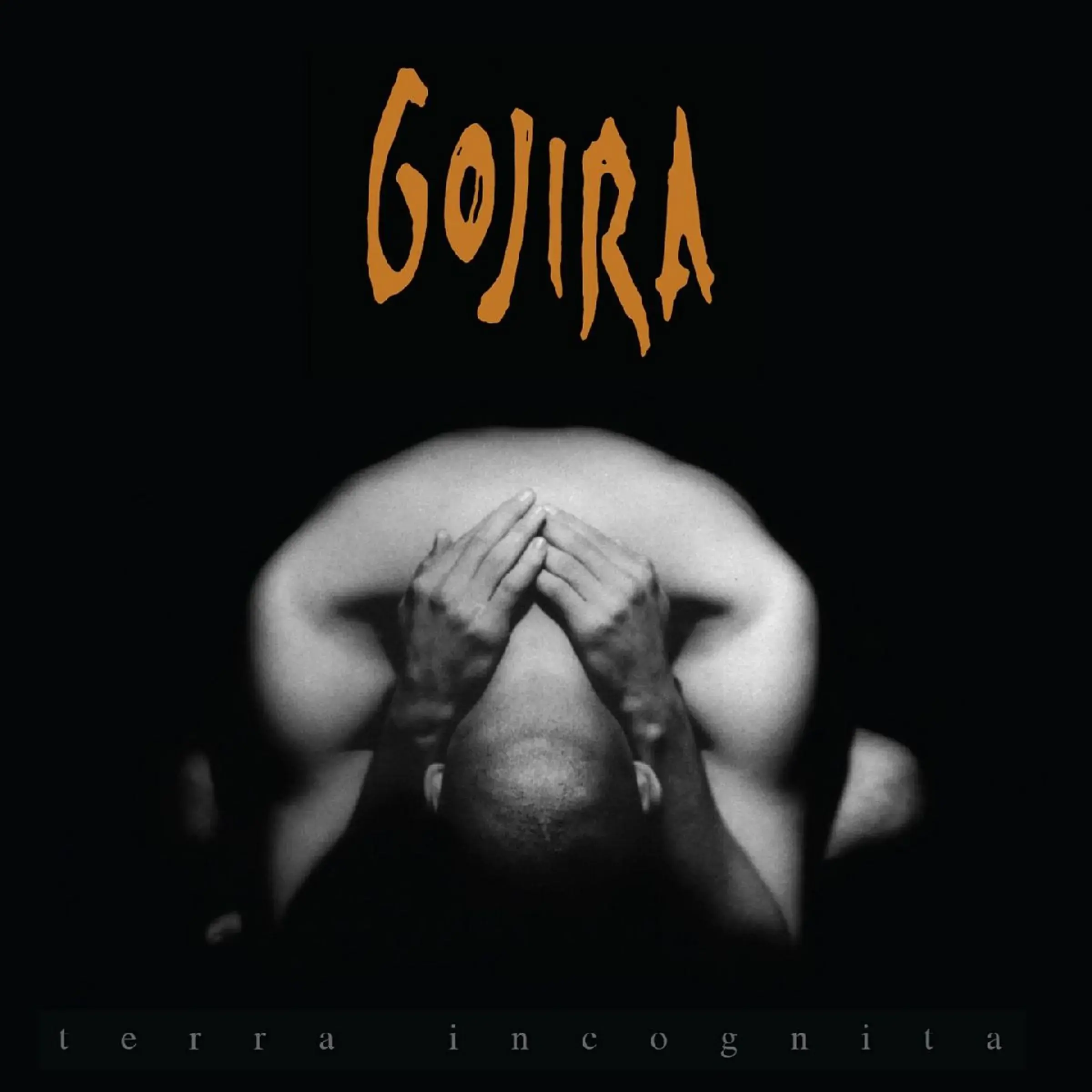 GOJIRA · Terra Incognita | SILVER/BLACK MARBLED 2LP · Bild 1 GOJIRA · Terra Incognita | SILVER/BLACK MARBLED 2LP (Death Metal/Progressive Metal Vinyl) · Bild 1