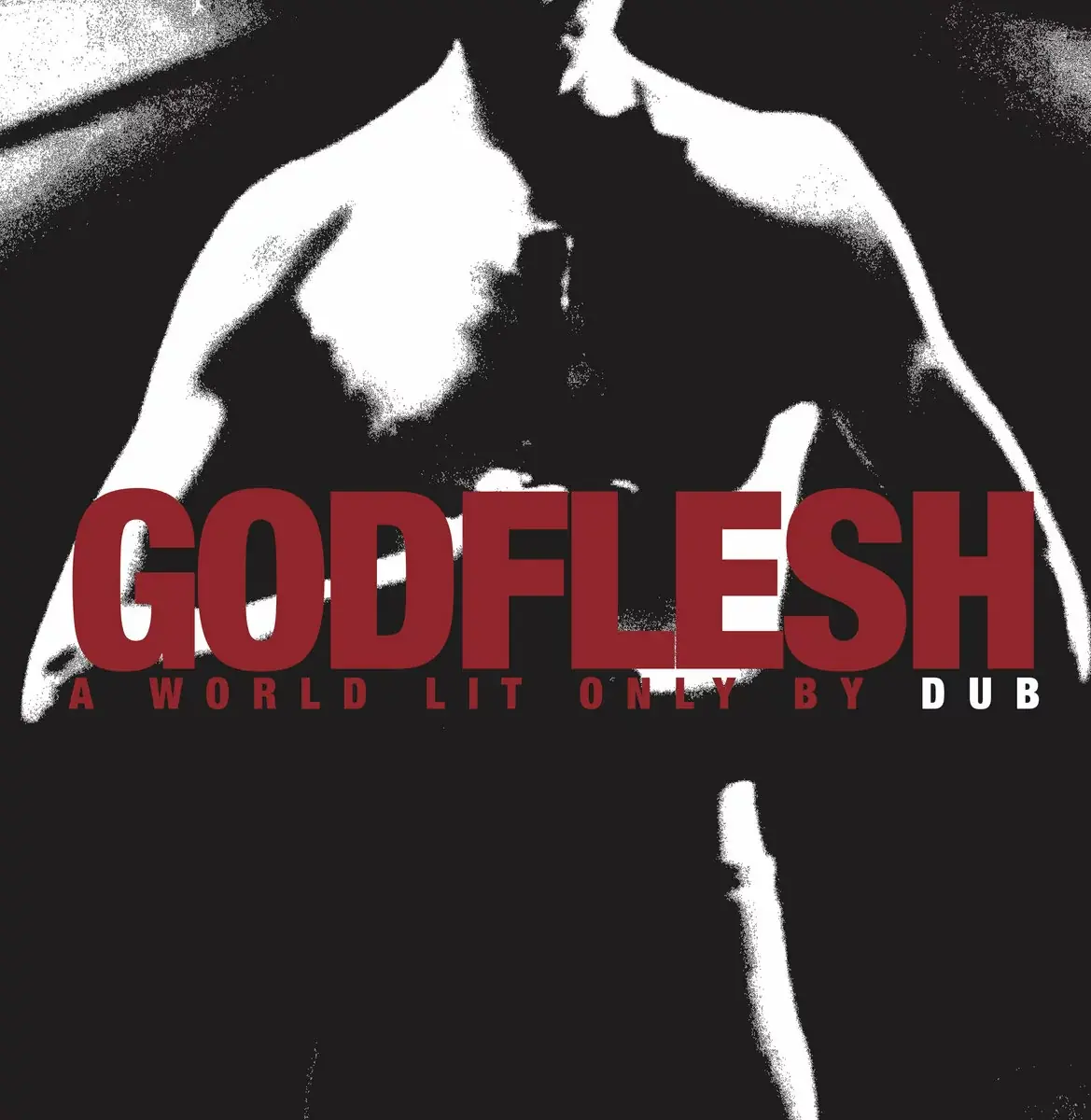 GODFLESH - A World Lit Only By Dub · BLACK LP · Bild 1 GODFLESH - A World Lit Only By Dub · BLACK LP (Industrial Metal Vinyl) · Bild 1