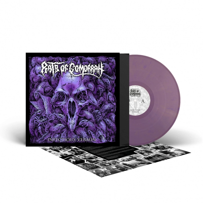 RATS OF GOMORRAH · Infectious Vermin | PURPLE/GOLD MARBLED LP (Death Metal Vinyl)