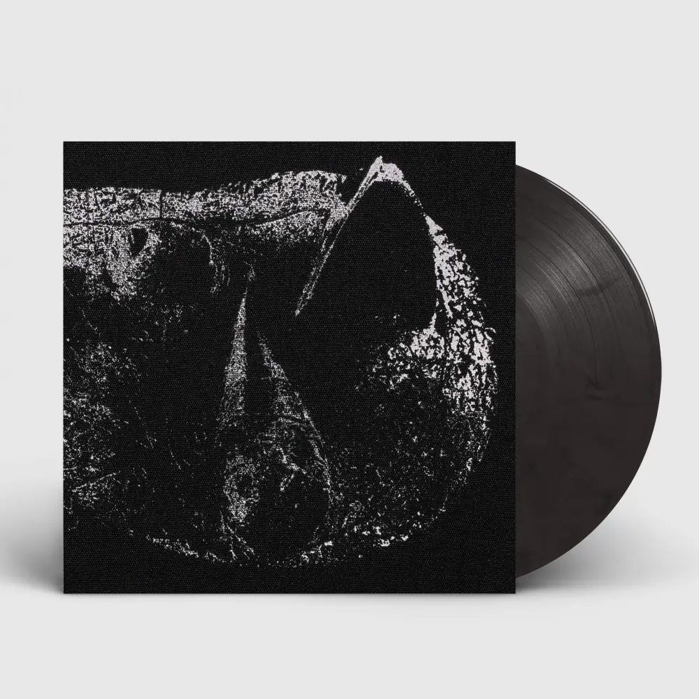 DEMON HEAD - Viscera · CLEAR ASH GREY LP