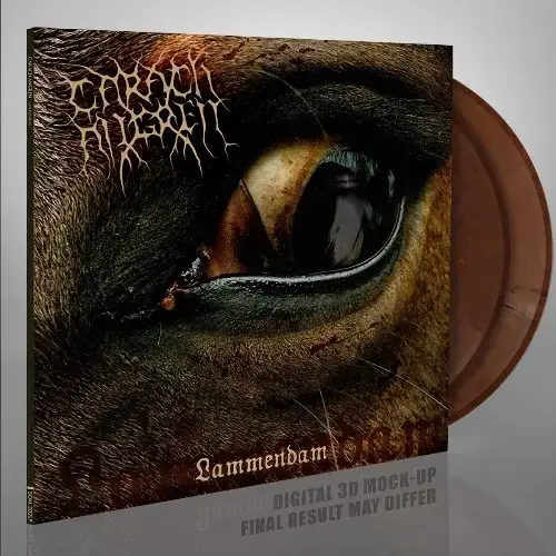 CARACH ANGREN - Lammendam · ORANGE/BLACK MARBLED 2LP CARACH ANGREN - Lammendam · ORANGE/BLACK MARBLED 2LP (Black Metal Vinyl)