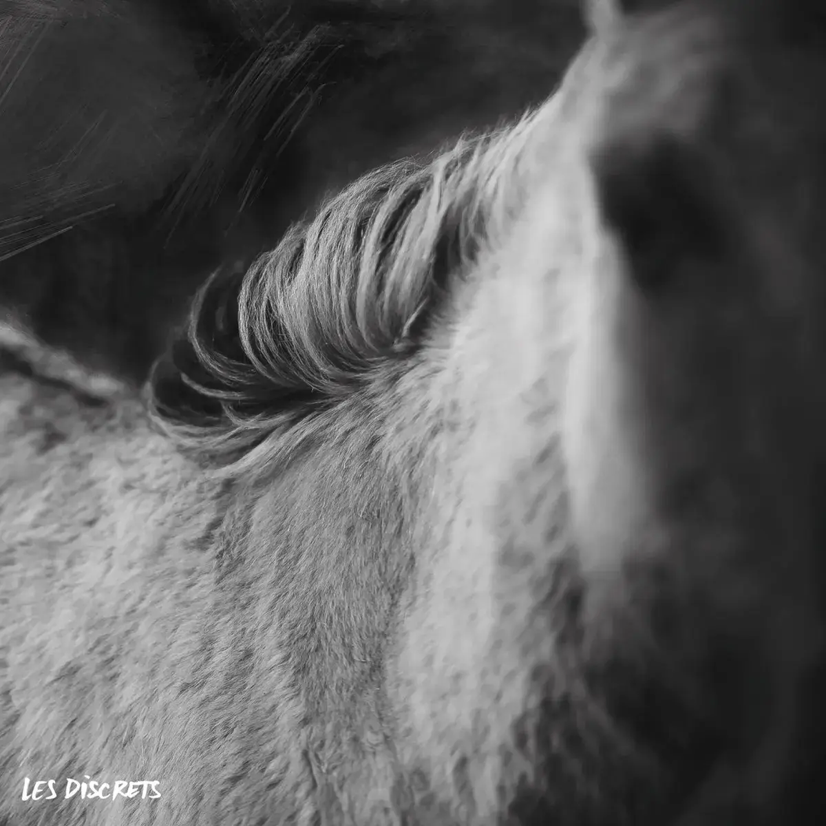 LES DISCRETS - Rue Octavio Mey / Fleur des Murailles · BLACK LP · Bild 1 LES DISCRETS - Rue Octavio Mey / Fleur des Murailles · BLACK LP (Progressive Rock Vinyl) · Bild 1