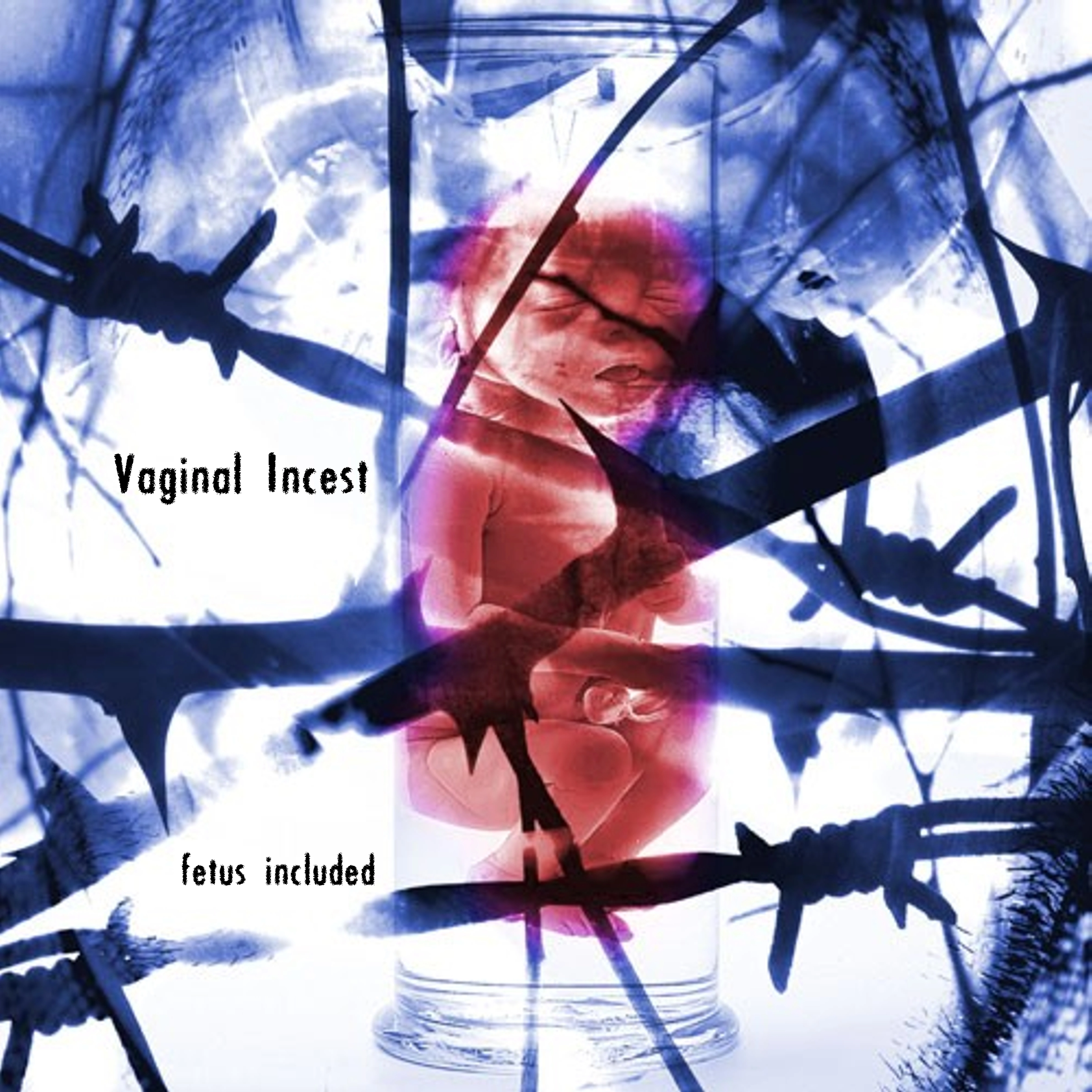 INHUMATE / VAGINAL INCEST · Split | BLACK 7" EP (Grindcore Vinyl) · Bild 1