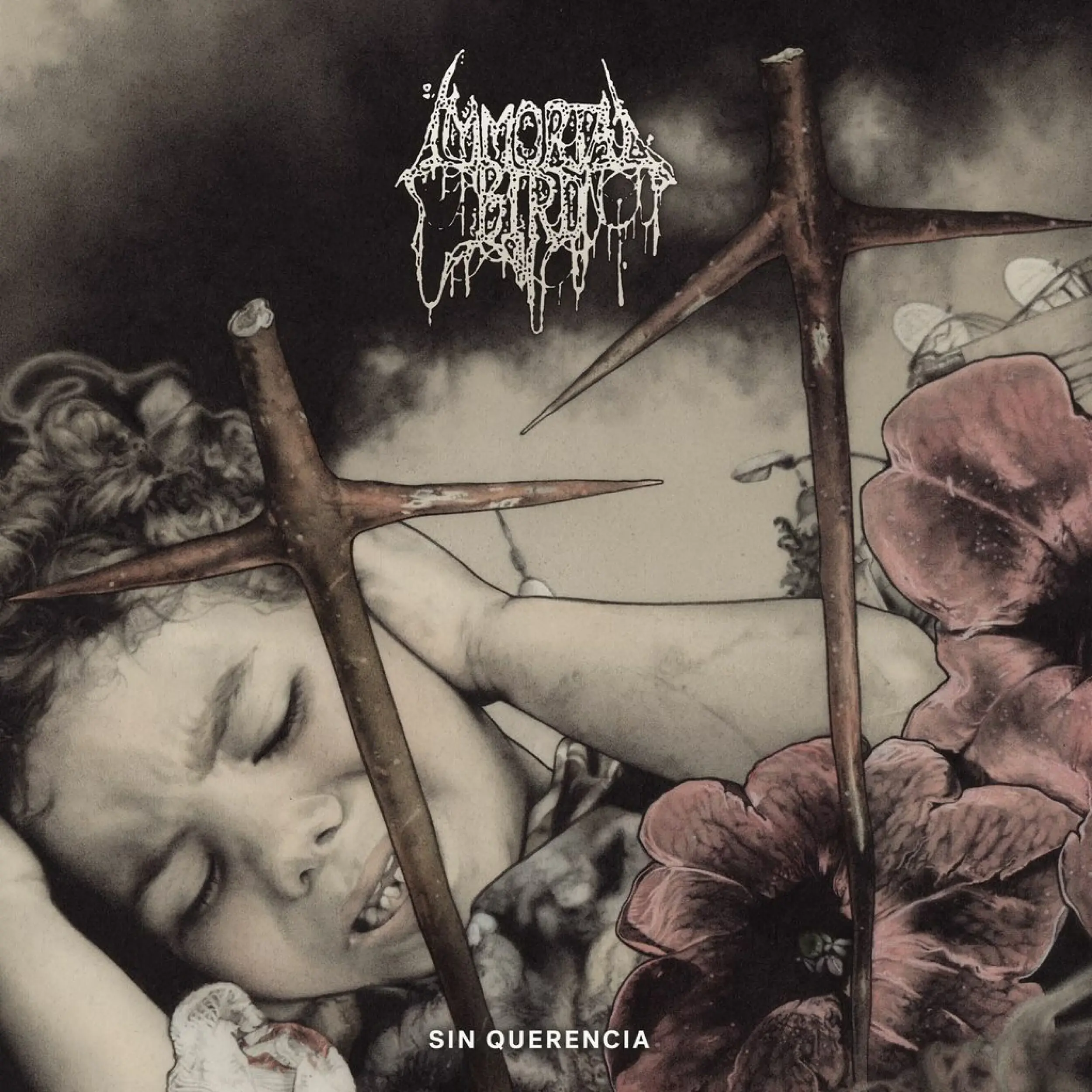 IMMORTAL BIRD · Sin Querencia | CD (Death Metal CDs)