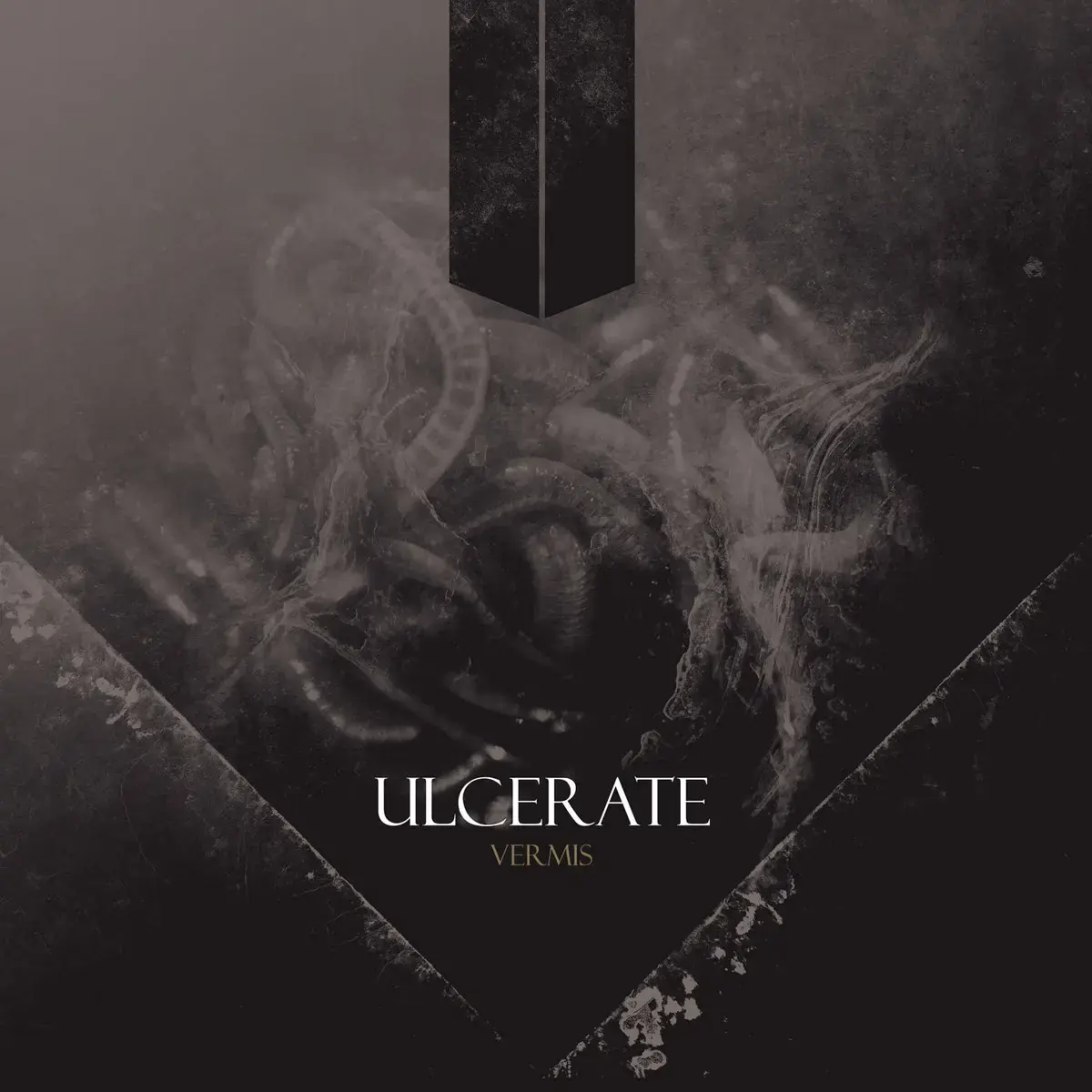 ULCERATE · Vermis | MULTICOLOR 2LP · Bild 1 ULCERATE · Vermis | MULTICOLOR 2LP (Death Metal Vinyl) · Bild 1