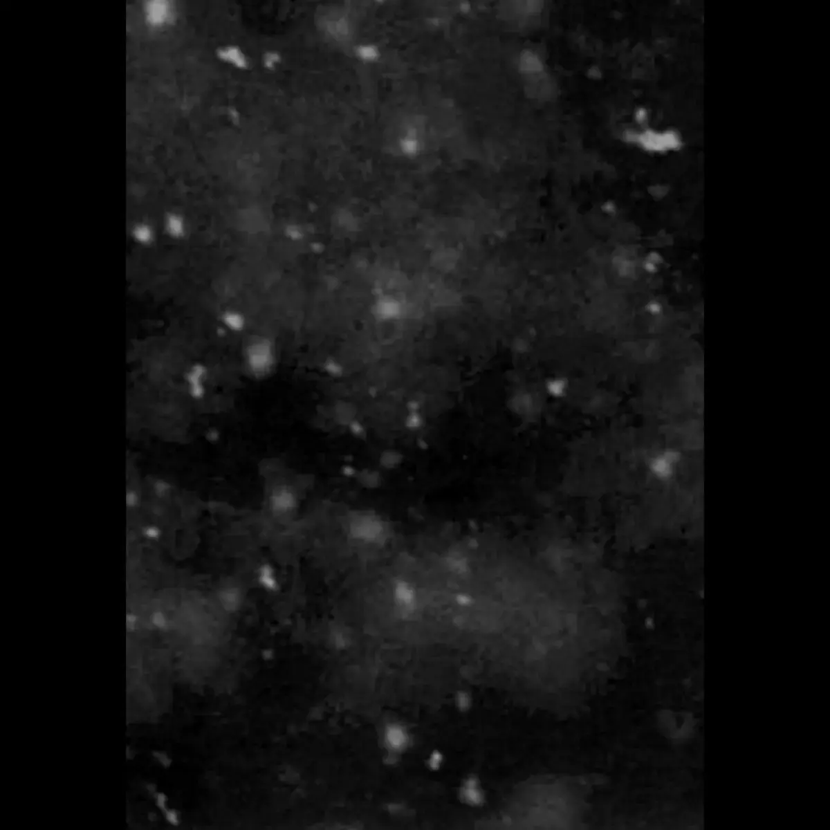 PAYSAGE D'HIVER - Einsamkeit · A5 DIGIBOOK CD (Ambient CDs)