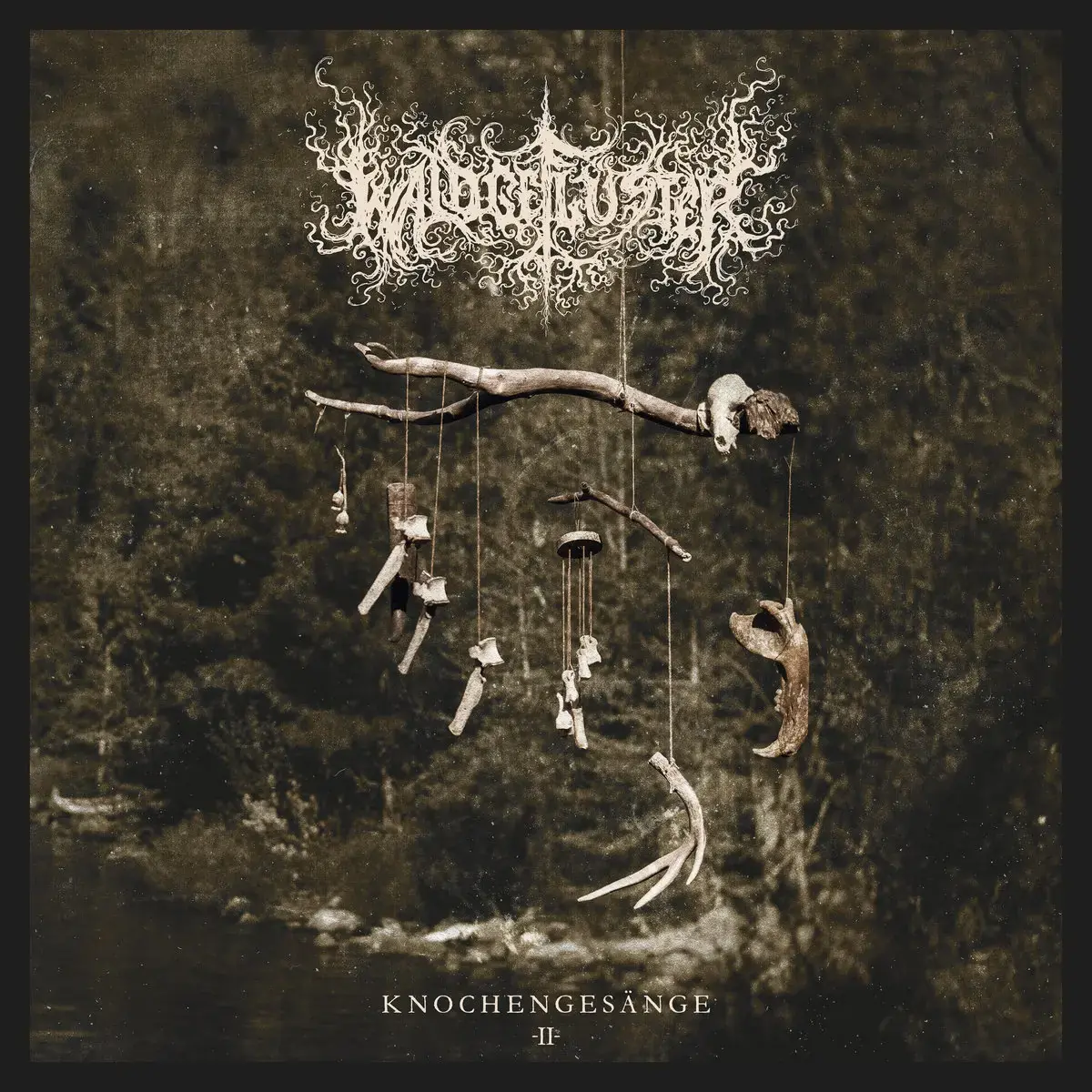 WALDGEFLÜSTER · Knochengesänge II | BLACK 2LP (Black Metal Vinyl) · Bild 1