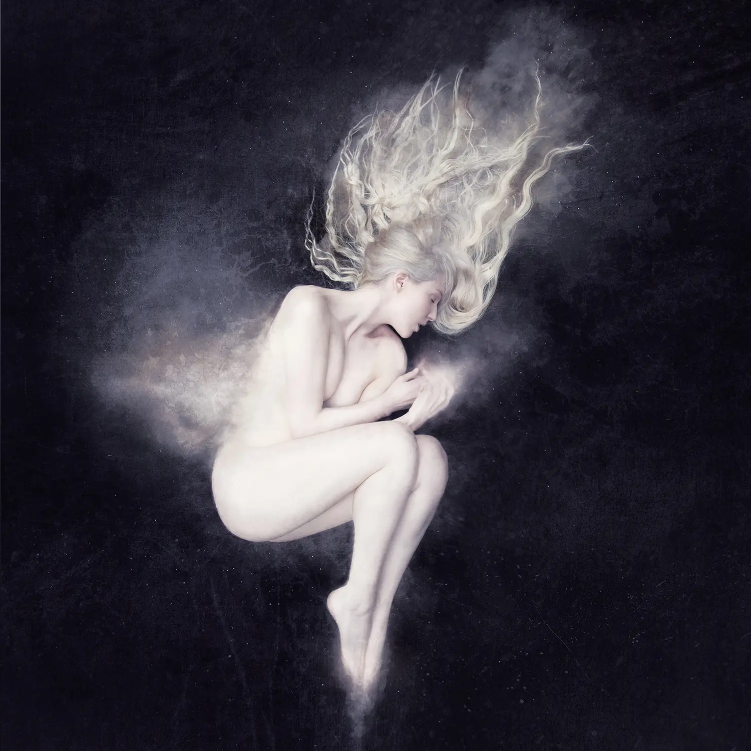 SYLVAINE - Nova · BLACK LP 1