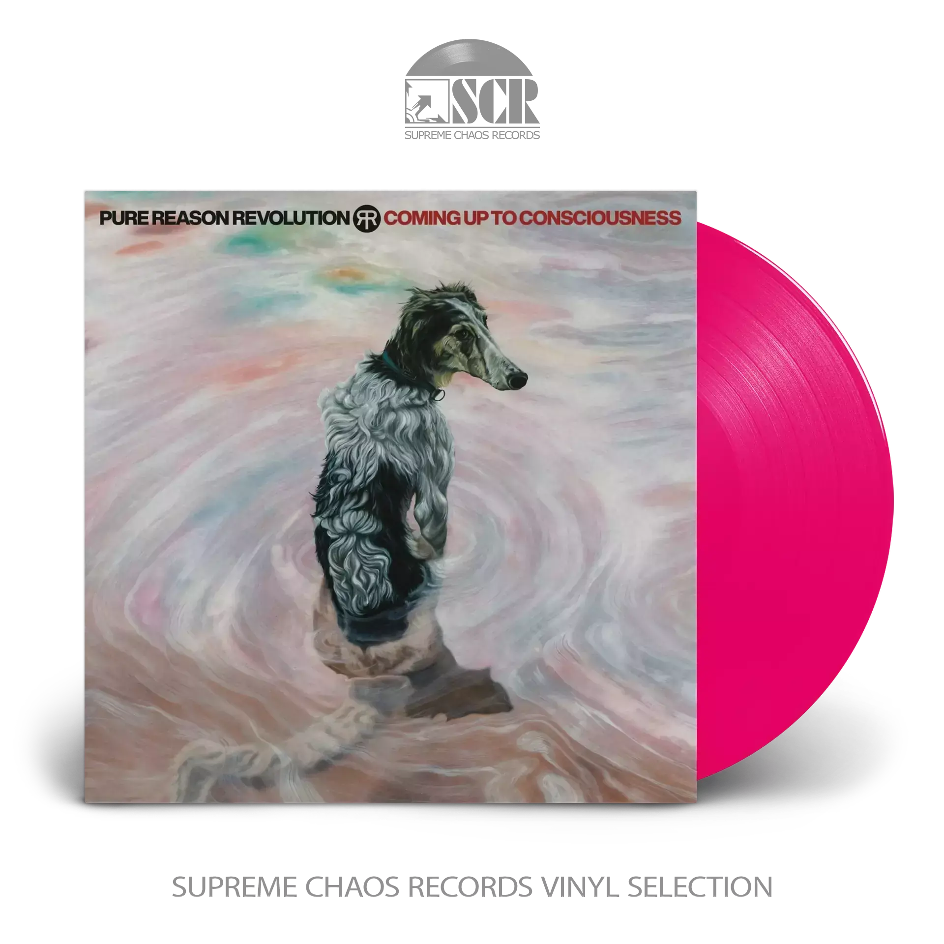 PURE REASON REVOLUTION - Coming Up To Consciousness · TRANSPARENT NEON PINK BIO VINYL (Progressive Rock Vinyl)