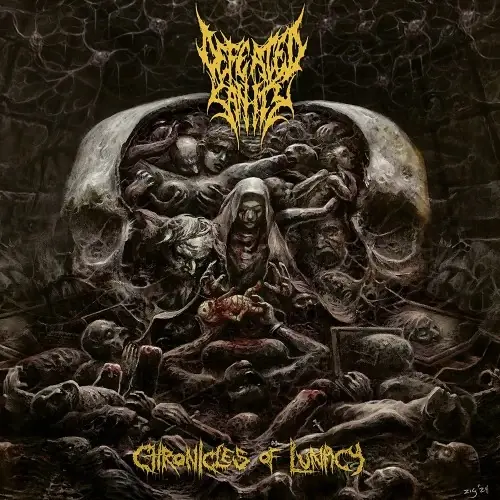 DEFEATED SANITY - Chronicles of Lunacy · BLACK LP (Death Metal/Grindcore Vinyl) · Bild 1