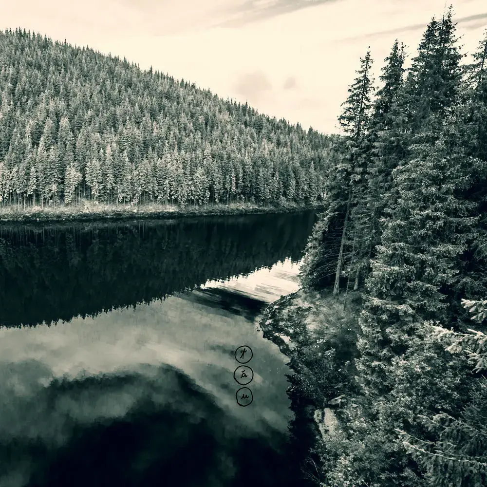 NEGURA BUNGET · Tau | LIMITED DELUXE 2CD+DVD ARTBOOK NEGURA BUNGET · Tau | LIMITED DELUXE 2CD+DVD ARTBOOK (Black Metal CDs)