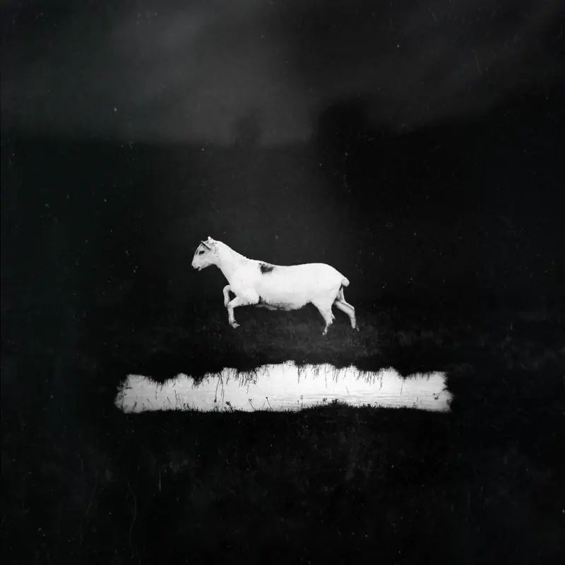 LES DISCRETS - Prédateurs · BLACK LP · Bild 1 LES DISCRETS - Prédateurs · BLACK LP (Progressive Rock Vinyl) · Bild 1