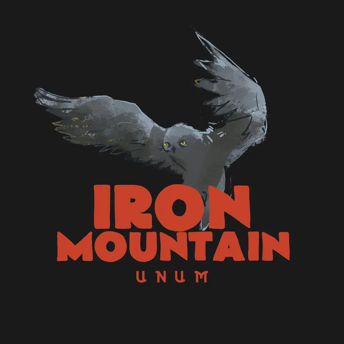 IRON MOUNTAIN - Unum · BLACK LP (Hard Rock Vinyl) · Bild 1