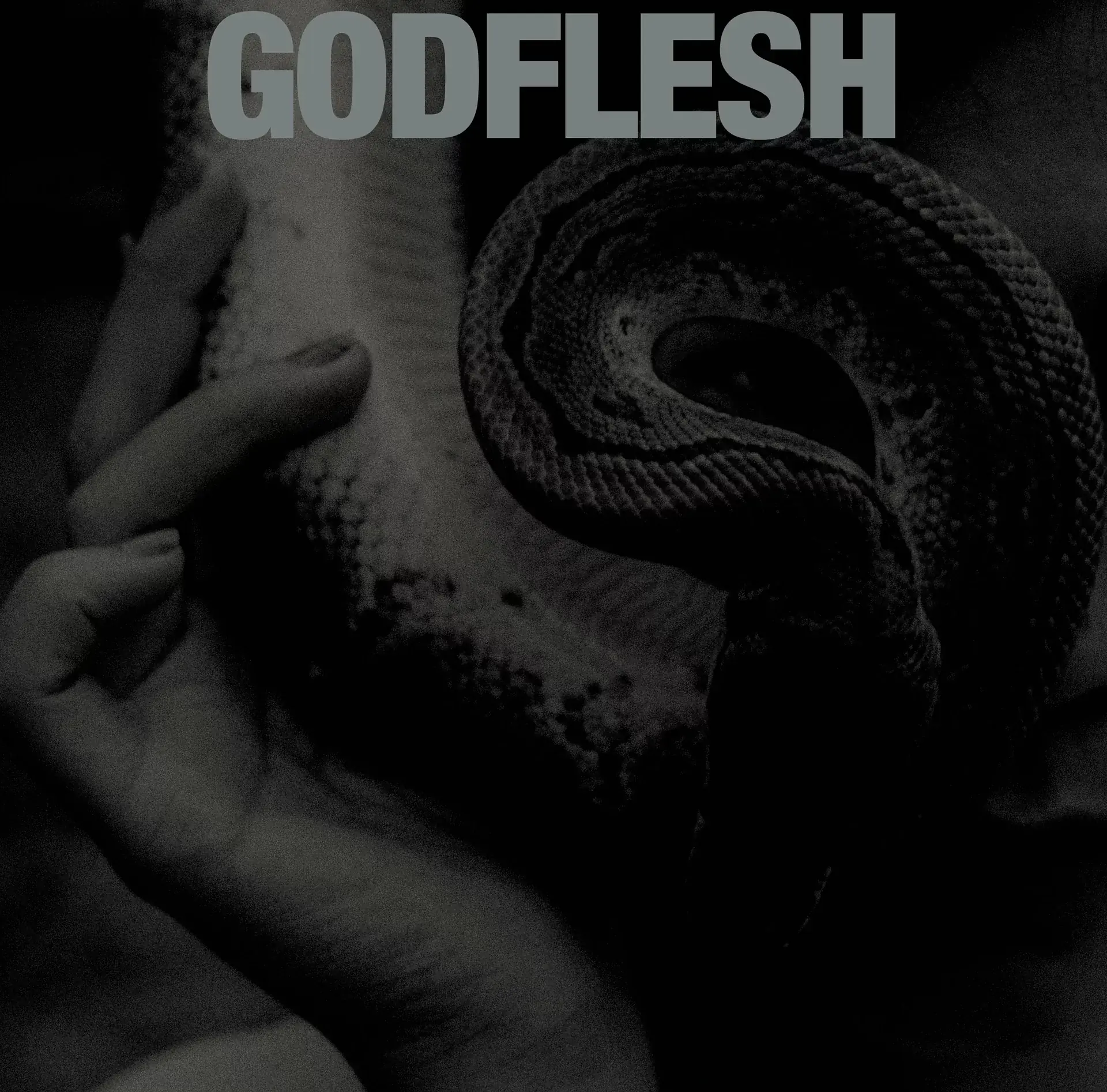 GODFLESH - Purge · BLACK LP (Sludge Metal Vinyl) · Bild 1