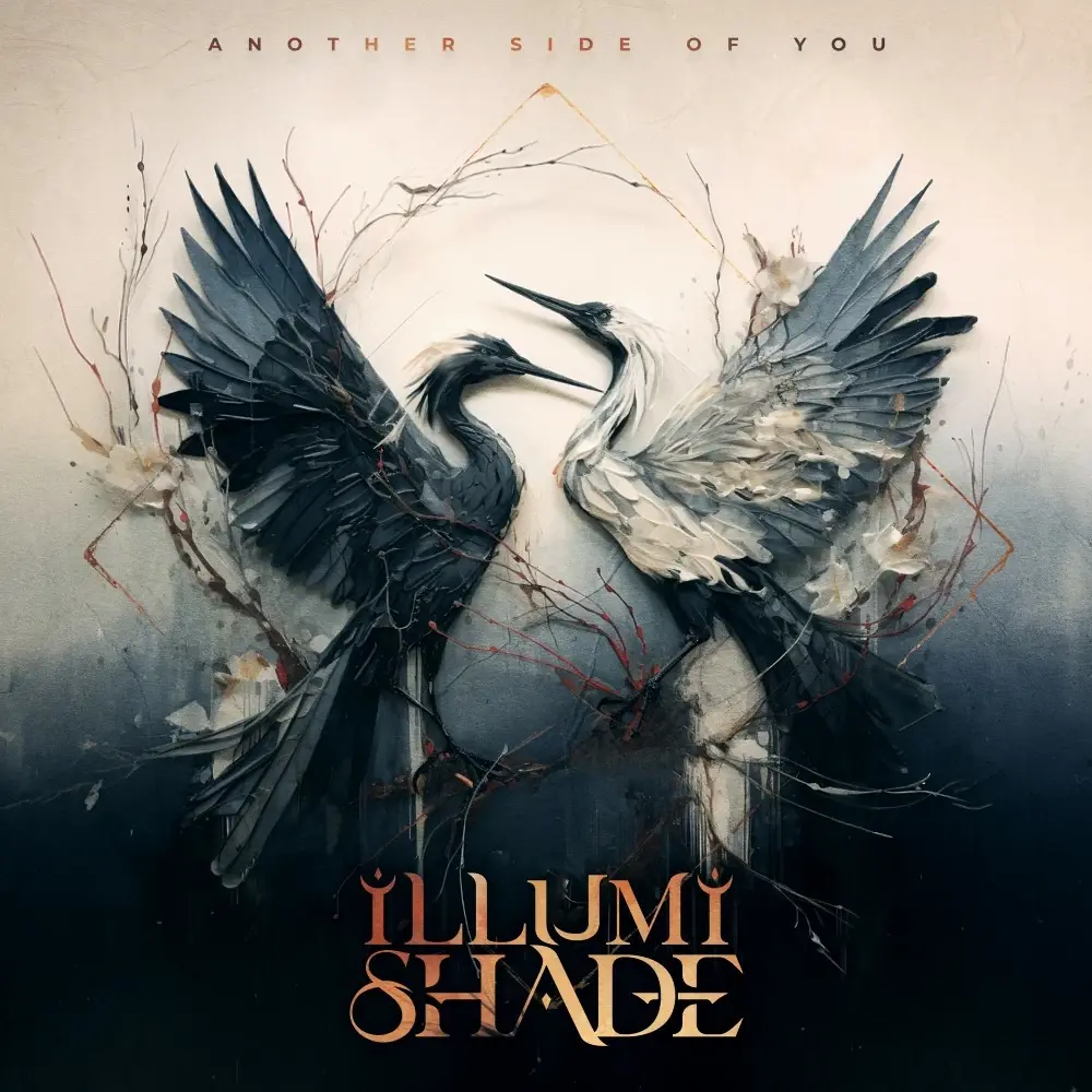ILLUMISHADE · Another Side Of You | BLACK DLP (Modern Metal Vinyl) · Bild 1